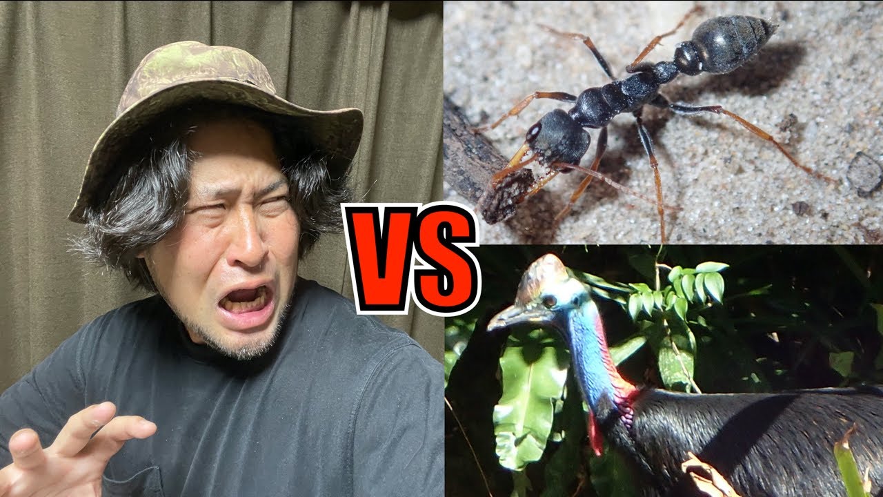Horrifying Experience] When I was fighting the strongest ant, the