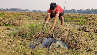 Amazing Fishing Way in Dry Season | Top Fishing Video 2024 | fish catching video