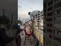 #ravana#new#trending #bull #highspeed #hori #karnataka #tamilnadu #highspeed #hori #trending #bull..
