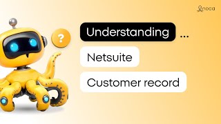 Understanding Netsuite Customer record