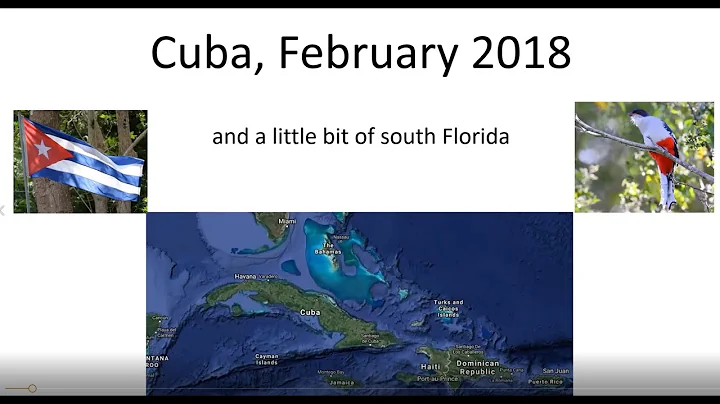 Cuba Birding with Chris Conard