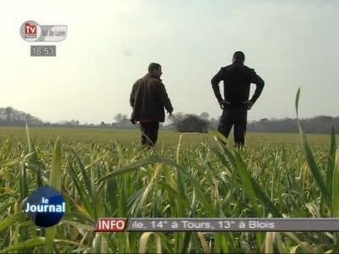 Rencontre agriculteur