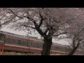 小田急春のコレクション―桜とロマンスカー Cherry blossoms &amp; Odakyu Romancecar