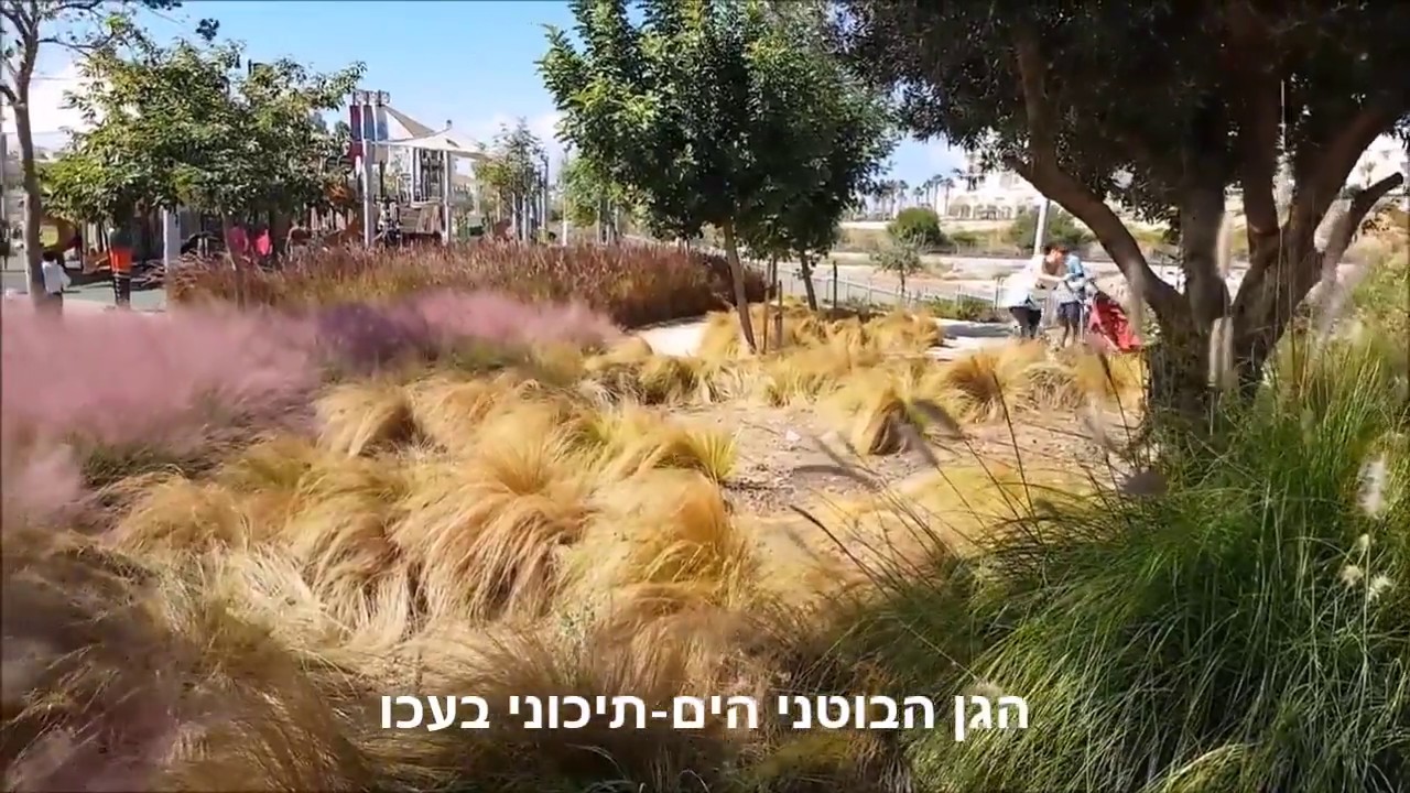 בדרך לעכו עוצרים בתל עכו ובגן הבוטני הים תיכוני Youtube