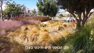 בדרך לעכו עוצרים בתל עכו ובגן הבוטני הים תיכוני
