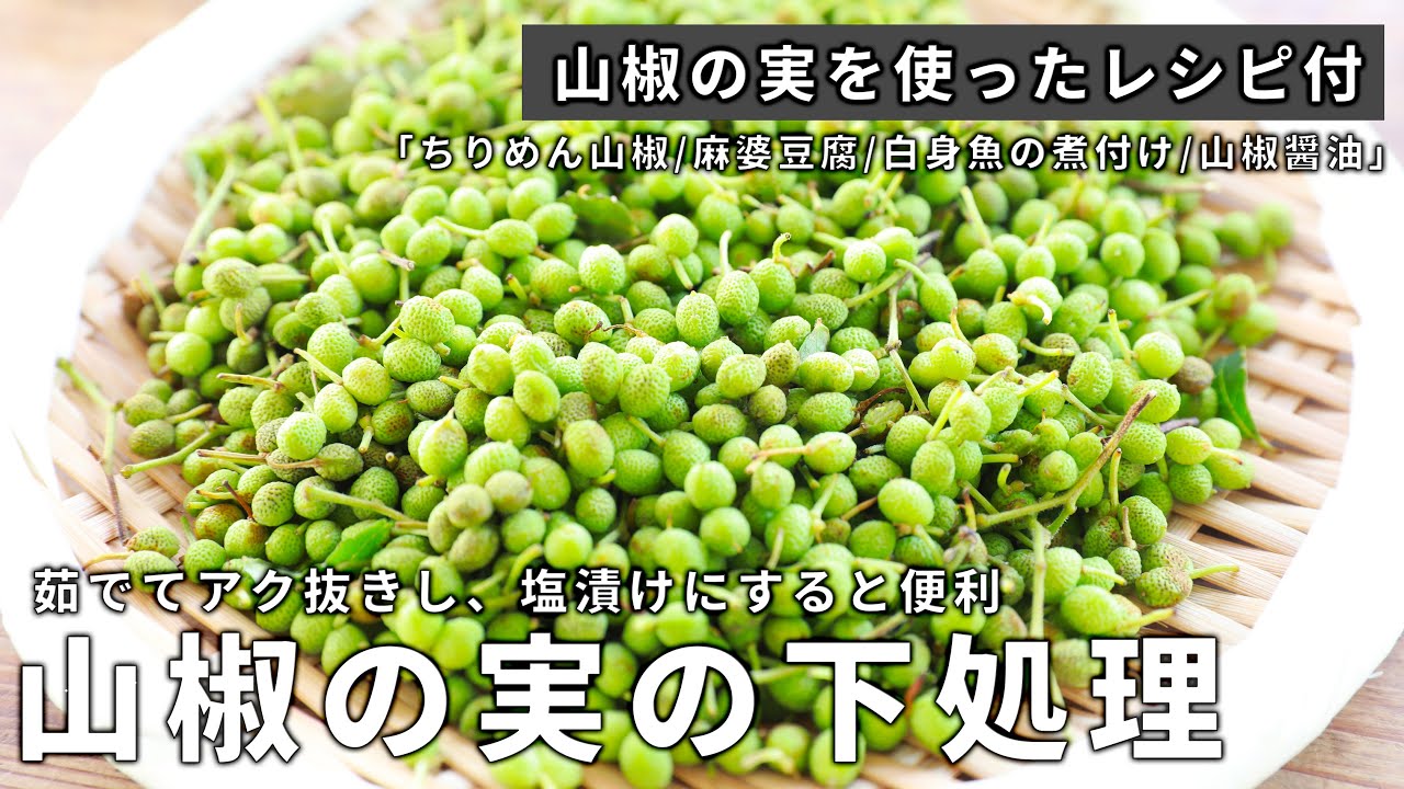 実山椒の活用法 下処理アク抜き 青煮 塩漬け 簡単調理法4種 ちりめん山椒 麻婆豆腐 白身魚の煮付け 山椒醤油 Youtube