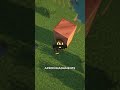 Você sabia disso no Minecraft?