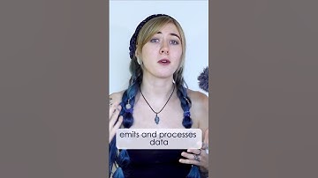 Toroidal fields are everywhere