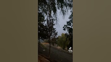 سبحان الله وبحمد سبحان الله العظيم#قران_كريم #قرآن #تلاوة_خاشعة #فلسطين #راحة_نفسية