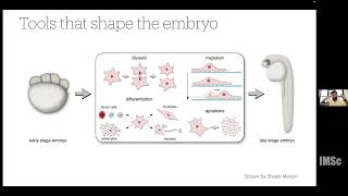 Role of intercellular adhesion in cell migration : A cellular potts model perspective