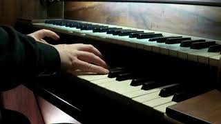 Jackson Samuel 1818 - 1885 Voluntary Op. 122 N. 2. Organista Sandro Carnelos.