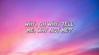 Enrique Iglesias  Why Not Me s s remix 