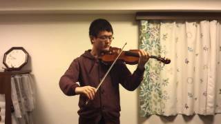 ドミナント（dominant）の弦を張ってみた！バイオリンの弦の比較part.2