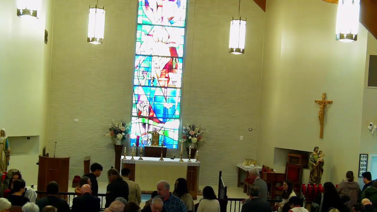 St. William Catholic Church Live Stream