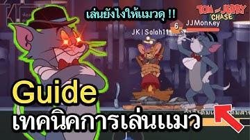 Guide เทคนิคการเล่นเเมว สรุปทุกเรื่องที่ต้องรู้ก่อนเล่นเเมว (จบในคลิปเดียว) : tom and jerry chase