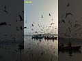 اللهم إنا نسألك أن تجعل خير أيامنا خواتمه