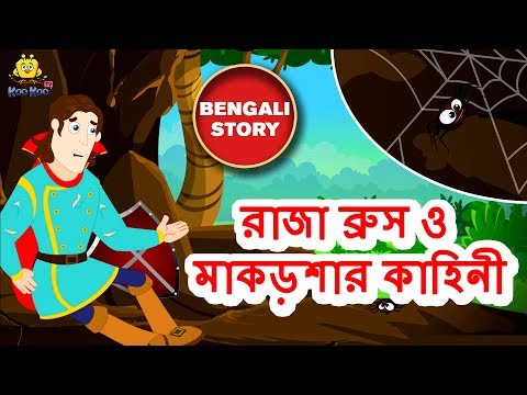 ভিডিও: জ্যাক ব্রুস: জীবনী, সৃজনশীলতা, কেরিয়ার, ব্যক্তিগত জীবন