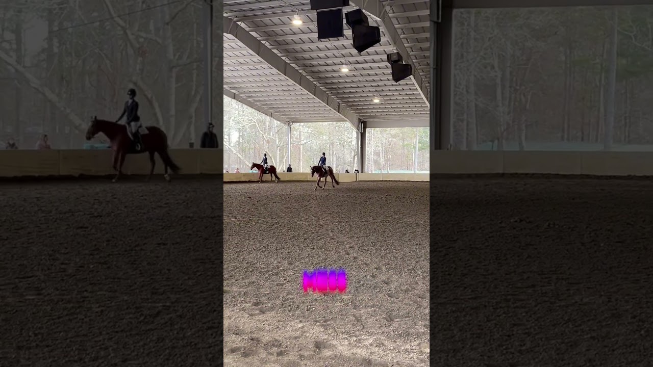 You shouldn’t mess with me😉 