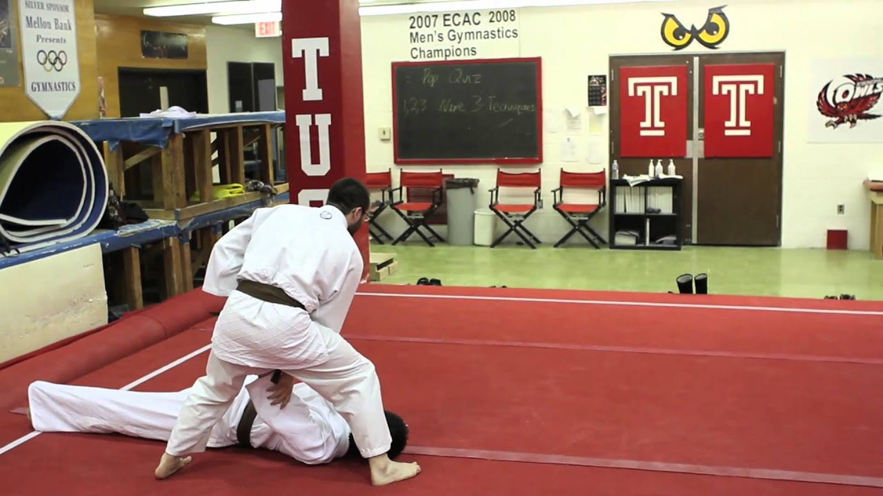 Aikido Basic Techniques pt. 2 YouTube