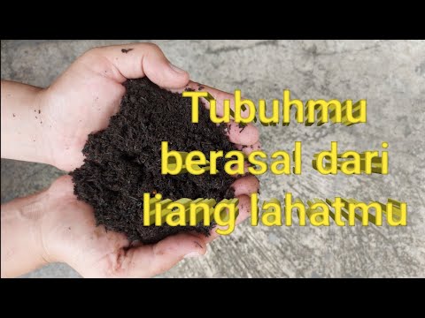 Video: Manusia Diciptakan Oleh Iklim Dan Agresi - Pandangan Alternatif