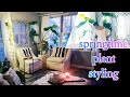 Living room houseplant tour  plant styling  spring plans countdowntospring