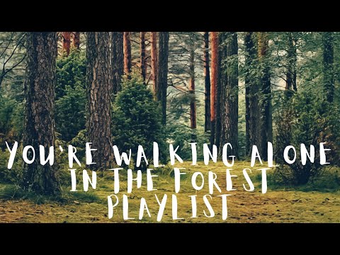 you're walking alone