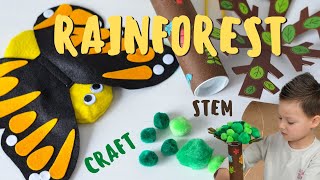 Rainforest STEM Project for Ages 3-4 | Kiwico | Koala Crate