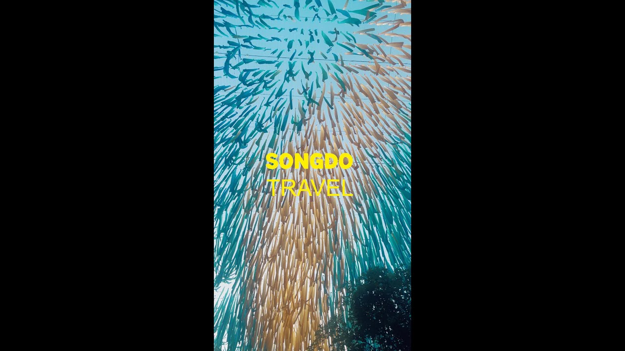 Music Video Collection · 2