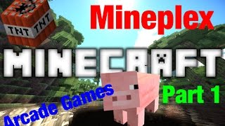 Arcade Games | Minecraft Arcade Games on Mineplex