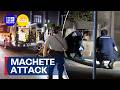 Teens arrested after alleged machete stabbing attack at Bondi Beach | 9 News Australia
