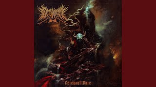 Cerebral Bore News