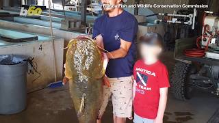 Reel Big Fish! Florida Man Sets State Record For Largest Flathead Catfish!
