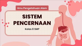 Digestive System - Science Material Grade 8 Independent Curriculum Digestive System - Science Material Grade 8 Independent Curriculum