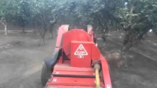 Hazelnut Harvest 2015