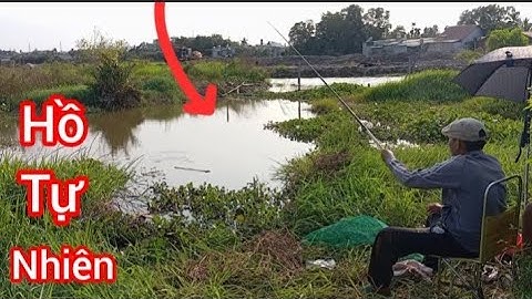 Chia sẻ Điểm câu Rô Phi Tự Nhiên/ Câu Ao Tự Nhiên @Dammecauca1