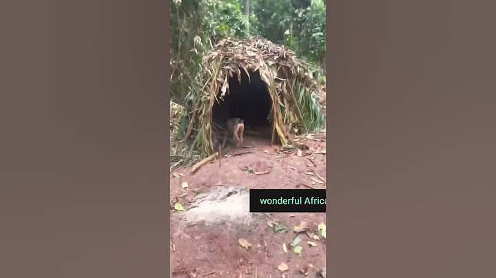 the baka people area pygmy tribe #shorts