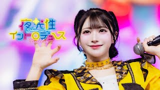 【LIVE MV】夜光性イントロデュース（2025）/夜光性アミューズ【よるあみ】