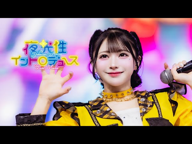 LIVE MV】夜光性イントロデュース（2025）/夜光性アミューズ【よるあみ