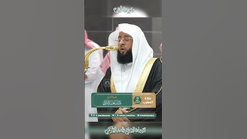 تلاوة خاشعة 🕊 سورة  التين 🕊 لفضيلة الشيخ بدر التركي
