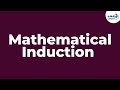 Principle Of Mathematical Induction | Don't Memorise