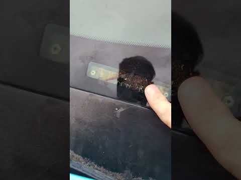 VIN numbers are gone