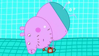 Peppa Pig Français | Peppa visite la piscine | Épisode Complet | Dessin Animé Pour Bébé