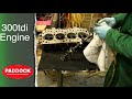 Check / Measure the Cylinder Head Valves for Wear - 300tdi Engine Overhaul - 110 Project Restoration