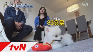 Worldwide Correspondence 여권 있는 강아지 ‘송이’의 독일 라이프☆ 180727 EP.2