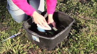 How to Clean Garden Statues : Great Gardening Advice