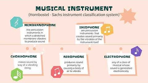 Hornbostel-Sachs Instrument Classification System