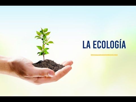 saludos amigos dvd La ecología