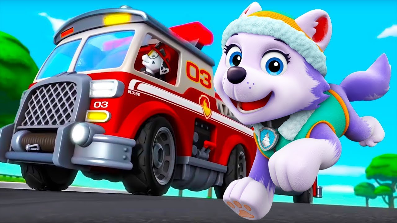 щенячий патруль игры для детей. щенячий патруль nickelodeon. герои мультика щенячий патруль. щенячий патруль супер патруль. щенячий патруль щенки.