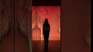 interactive wall for museme