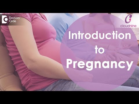 introduction-to-pregnancy